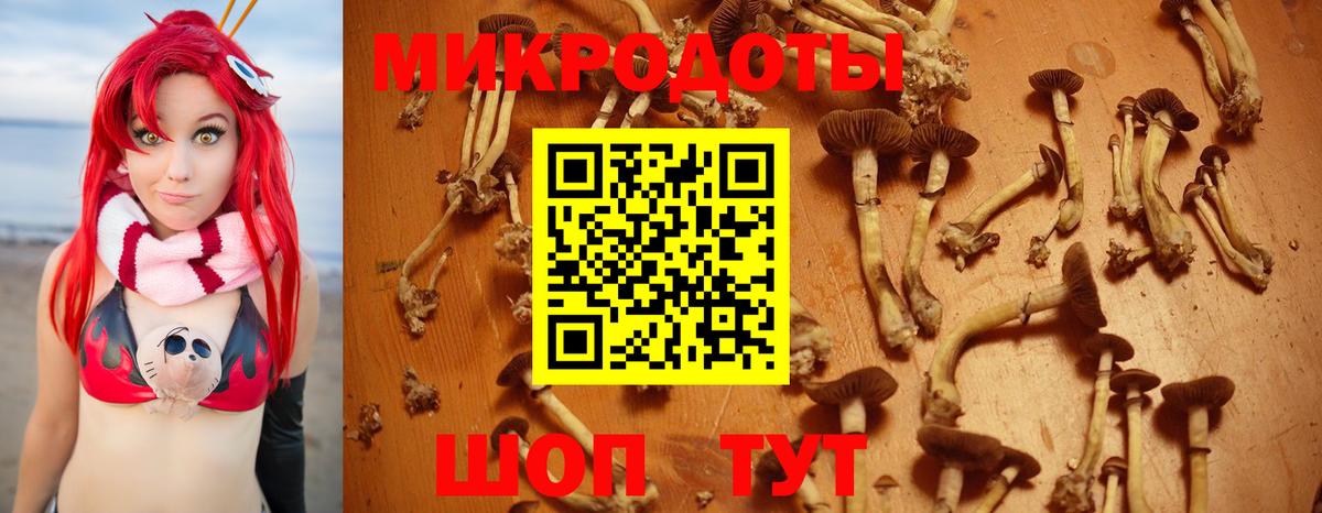 Псилоцибиновые грибы Psilocybe  Вход с VPN  Гуково 